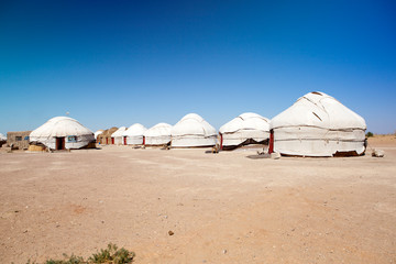 Yurt camp in the desert. Uzbekistan