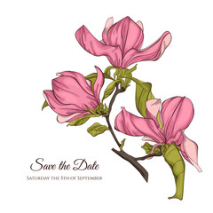 Magnolia flower vector illustration. Perfect for background greeting cards and invitations of the wedding, birthday, Valentine's Day, Mother's Day.