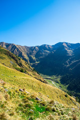 Road on the peak of mountains