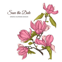 Magnolia flower vector illustration. Perfect for background greeting cards and invitations of the wedding, birthday, Valentine's Day, Mother's Day.