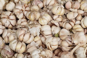 Garlic head for cooking at street food