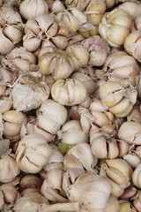 Garlic head for cooking at street food
