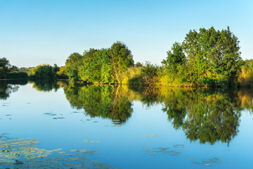 Calm landscape with trees, reflecting in the water