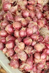 Onions and shallots for cooking at market