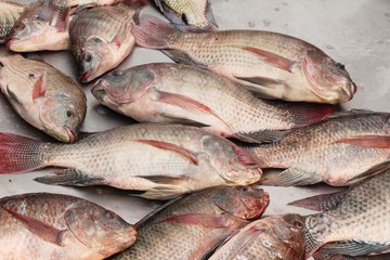 Fresh fish for cooking at street food