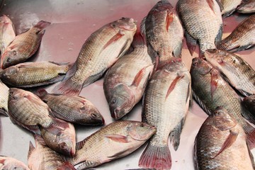 Fresh fish for cooking at street food