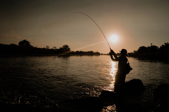Sunset Fish