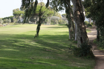 campo de golfe