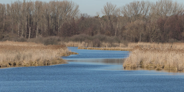 Wagh&auml;usel