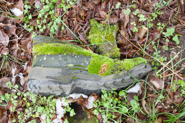 Black work shoe overgrown with moss and grass on ground