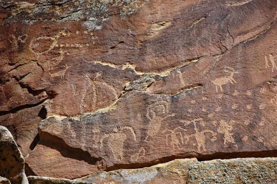 Petroglyphs in the New Mexico wilderness. 