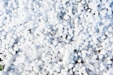 Close up of hail stones on the ground - obrazy, fototapety, plakaty