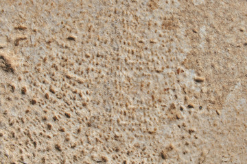 texture of wall