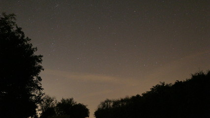 sky at night with trees and stars