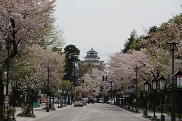 Alley with sakura and Tsurugajo castle