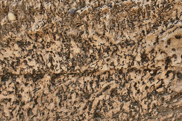 texture of sand