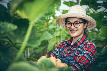 Young woman in a greenhouse with butternut squash harvesting