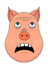 Head of pig in cartoon style. Vector illustration. Woodland animal head icon. Terrified pig. Pig emotional head.