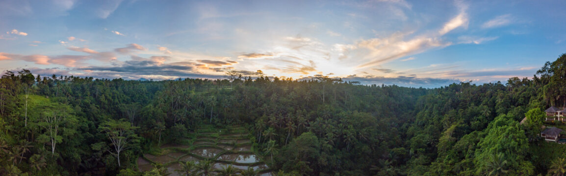 Aerial sunrise panorama of rice terraces and jungle of Ubud, Bali