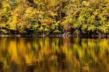 Fototapeta premium Canadian autumn reflection