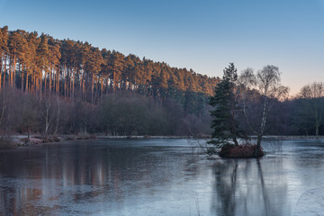 Cannock Chase, AONB in Staffordshire.