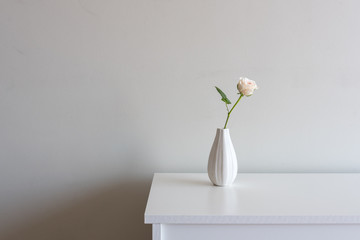 Close up of single pale pink rose in small vase on white sideboard against neutral wall background...