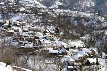 landscape of the village under the snow in winter