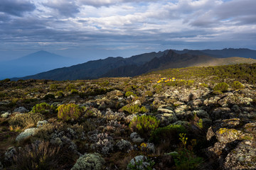 Fototapeta na wymiar Shira Camp, 3,850 meters, Kilimanjaro National Park