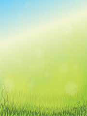 Spring background with sky and grass
