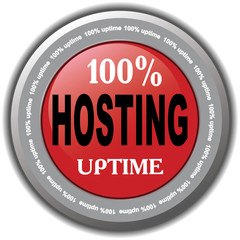 100% hosting uptime icon.