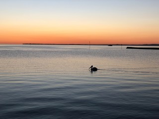 Fototapeta premium silhouette of fisherman at sunset