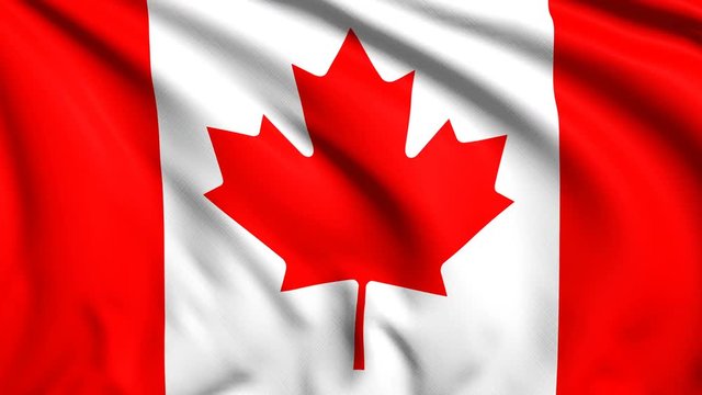 Canadian flag with fabric structure in the wind (loopable)