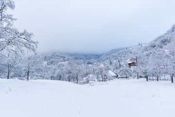 Fototapeta premium Winter landscape
