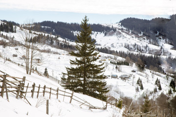 Winter Traveling to the Gutsulandia region in the Ukraine