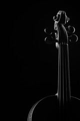 neck violin close up on a black background