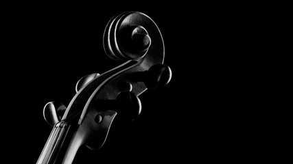 neck violin close up on a black background