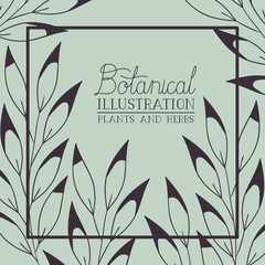 botanical plants and herbs square frame