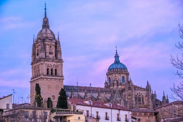 Obraz premium The joined cathedrals of Salamanca (Old and New Cathedral), Castile-Leon, Spain. The old cathedral (12-14 c. centuries -Romanesque and Gothic). New Cathedral (16-18 c. ^ate Gothic and Baroque)