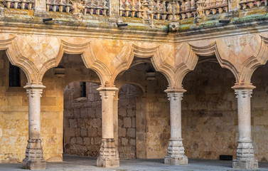 The University of Salamanca, Castile and Leon, Spain. Founded in 1134 it is the oldest university in the Hispanic world and the third oldest university in the entire world still in operation.