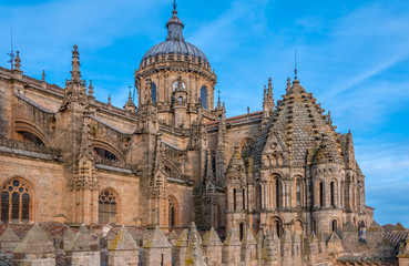Fototapeta na wymiar The joined cathedrals of Salamanca (Old and New Cathedral), Castile-Leon, Spain. The old cathedral (12-14 c. centuries -Romanesque and Gothic). New Cathedral (16-18 c. ^ate Gothic and Baroque)