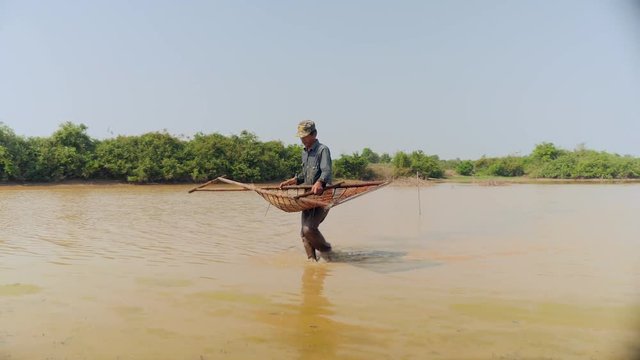 Fisher carrying  the push basket filled with clams out of water and walking back in shore
