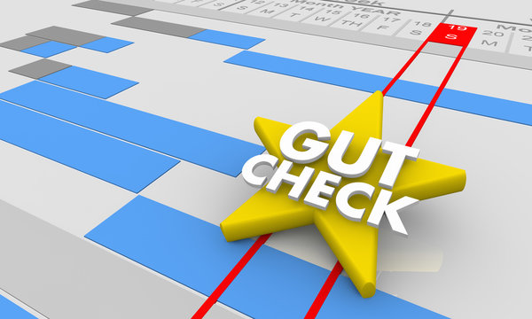 Gut Check Review Opinion Feedback Gantt Chart 3d Illustration