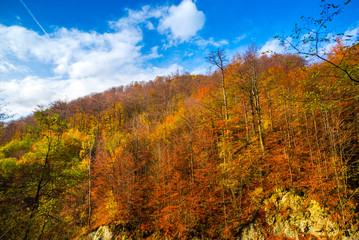 Autumn landscape