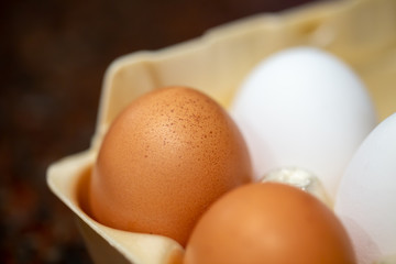 Brown farm egg in carton