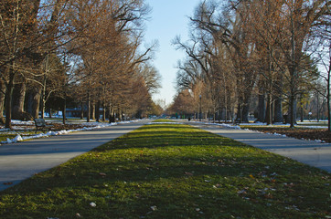 A wide view down the long sidewalk path in the park along the tree lined walkway. 