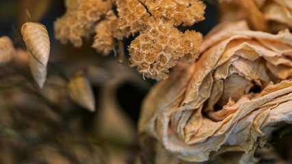 dry rose bouquet close up