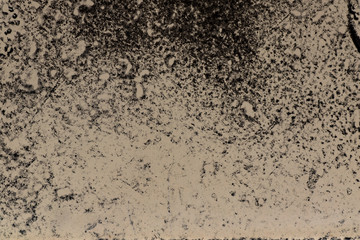 Sooty Stucco