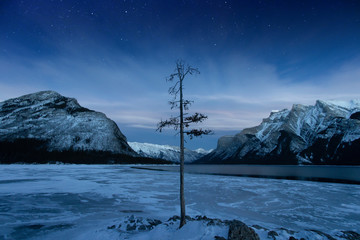 Winter Lake Minnewanka, Abraham, Methane bubbles,lifestyle, Travel Alberta, Canadian Rockies,Banff...