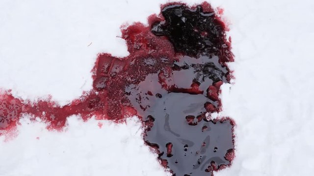 Trail leading to pool of blood in the snow. Winter death. Horror. Murder. NOTE: Fake Blood with genuine snow.