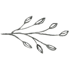 Line art of hand-drawn flora on the white isolated background. Flower pencil sketch.